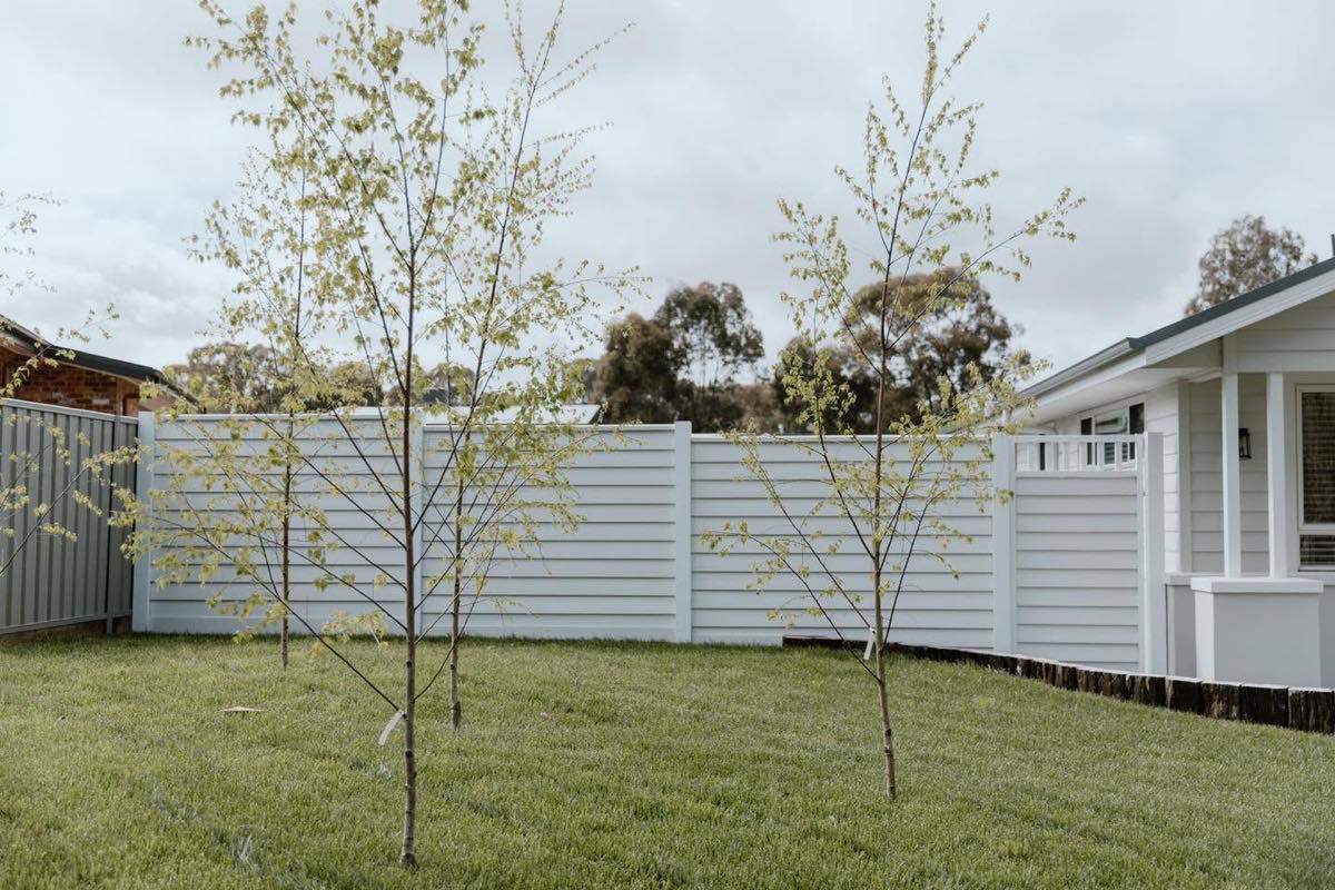A pale slatted privacy screen behind a young garden bed