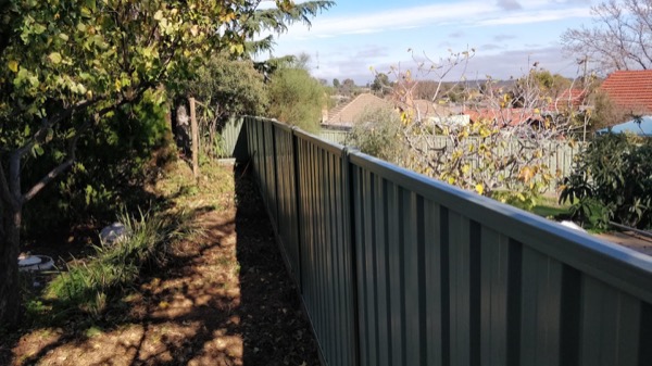 A dark Colorbond fence running beside a mulched garden bed under trees