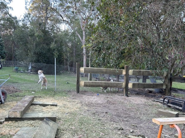 A timber fence frame going up across a cleared back yard